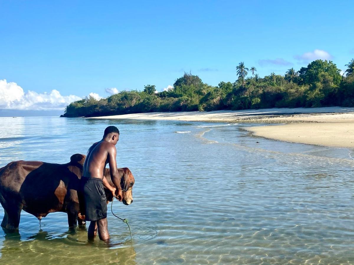 Kingstone Lodge Zanzibar Bet-el-Mali Bagian luar foto